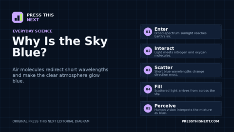 Five-step diagram showing sunlight entering Earth’s atmosphere, air molecules scattering blue wavelengths, scattered light filling the sky, and human vision perceiving blue.