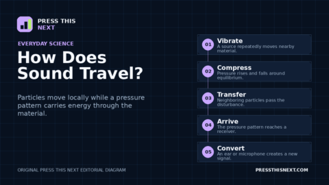 Five-step diagram showing a source vibrating, pressure changes moving through neighboring particles, the wave reaching a receiver, and an ear or microphone converting it.